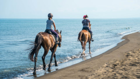 Two people ride horses along the shoreline of a sandy beach, with waves gently lapping at the horses' hooves under a clear sky.