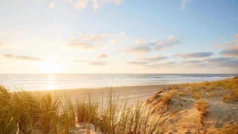 Sandy beach with tall grass in the foreground, gentle waves, and a bright sun low in the sky, partially covered by scattered clouds.